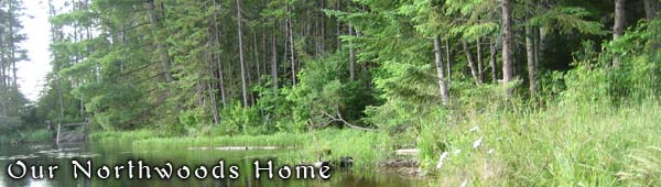Our Northwoods Home