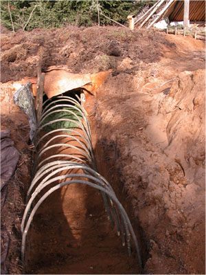Tunnel hoops